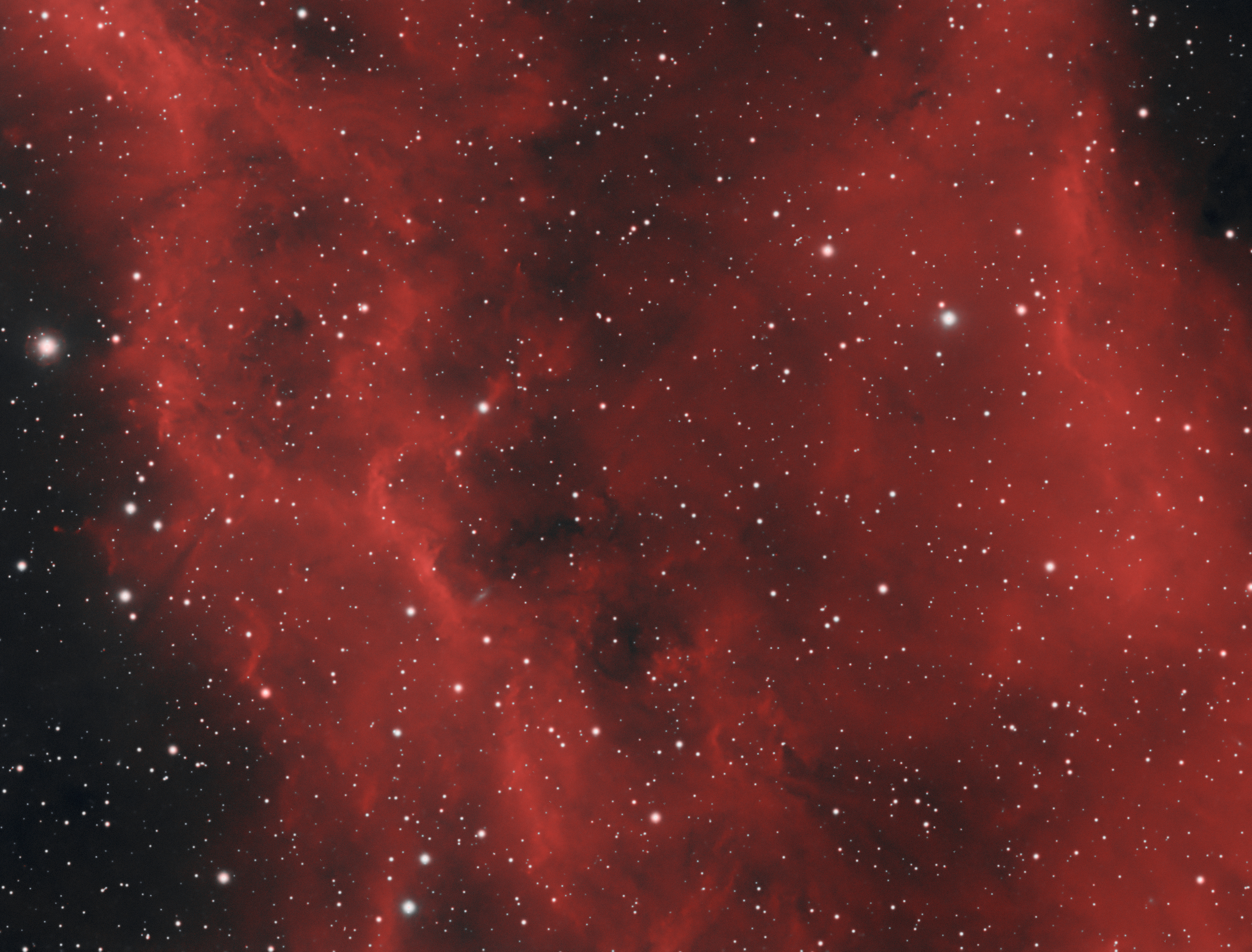 NGC1499,使用Pi处理,4个小时快餐